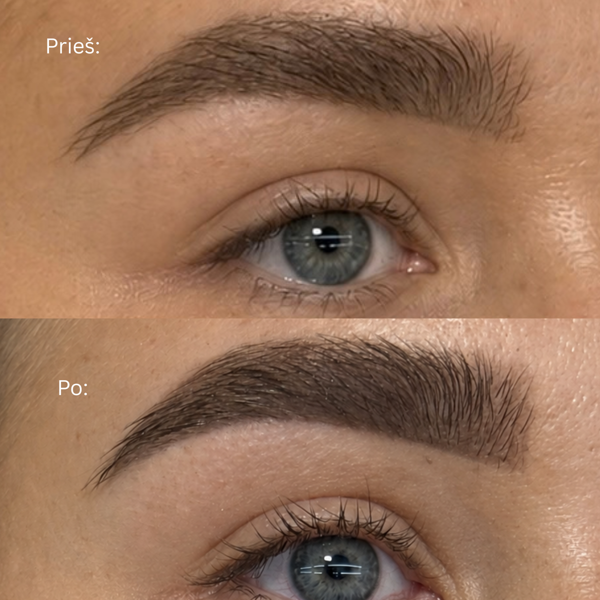 Brow Perfector | Etaupe